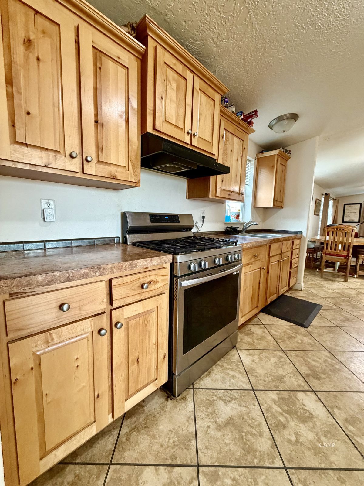 164 Martin Avenue Spring Creek, NV 89815 - Photo 19 of 39
