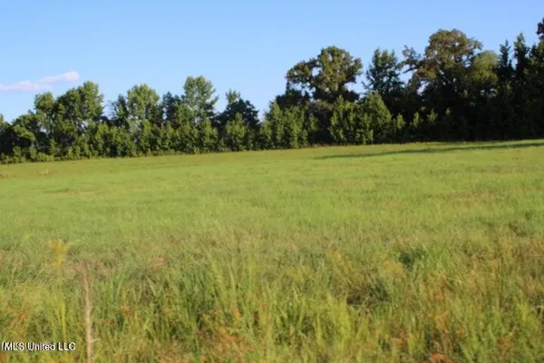 $1,298,500 | 0 Chapel Hill, Holly Springs, MS 38635