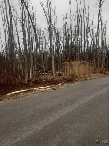 $18,000 | Undisclosed Address, Lenox, NY 13032