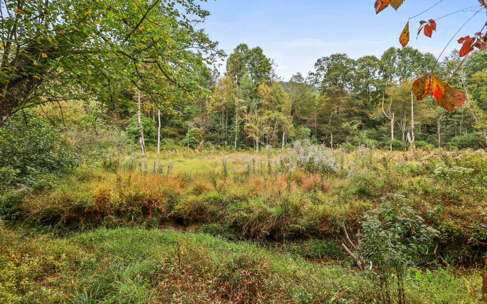 1955 Cavender Gap Road Suches, GA 30572 - Photo 11 of 45 Additional View