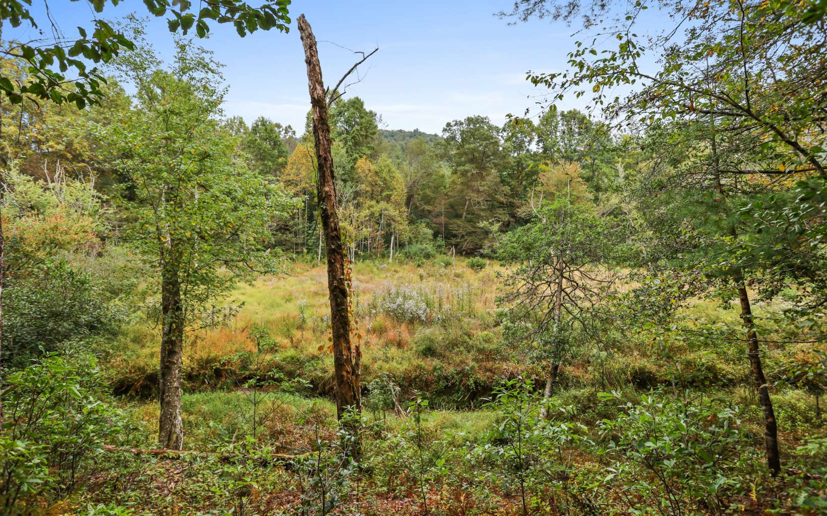 1955 Cavender Gap Road Suches, GA 30572 - Photo 12 of 45 Additional View