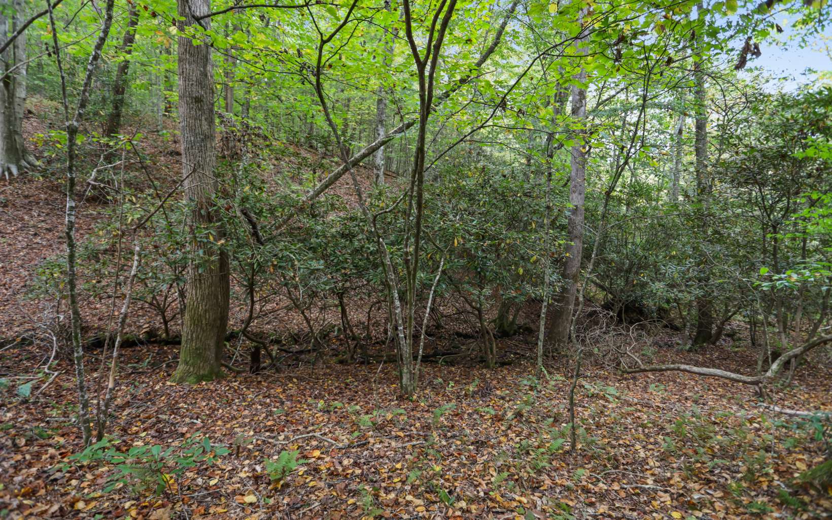 1955 Cavender Gap Road Suches, GA 30572 - Photo 13 of 45 Additional View