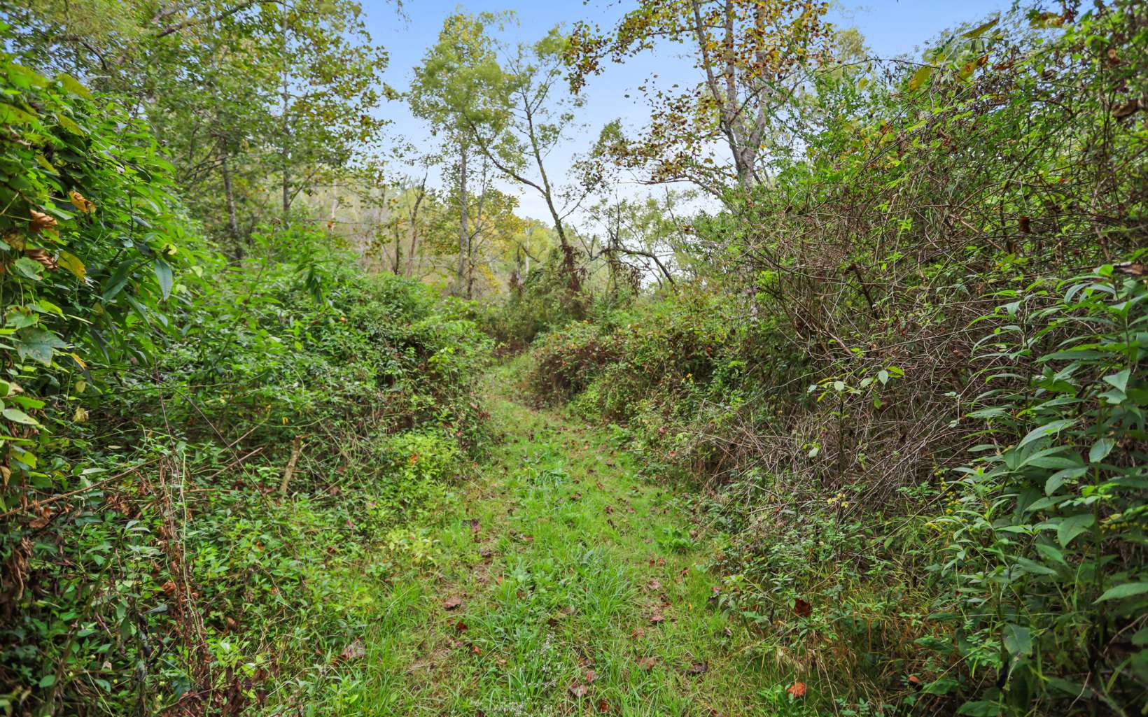 1955 Cavender Gap Road Suches, GA 30572 - Photo 15 of 45 Additional View