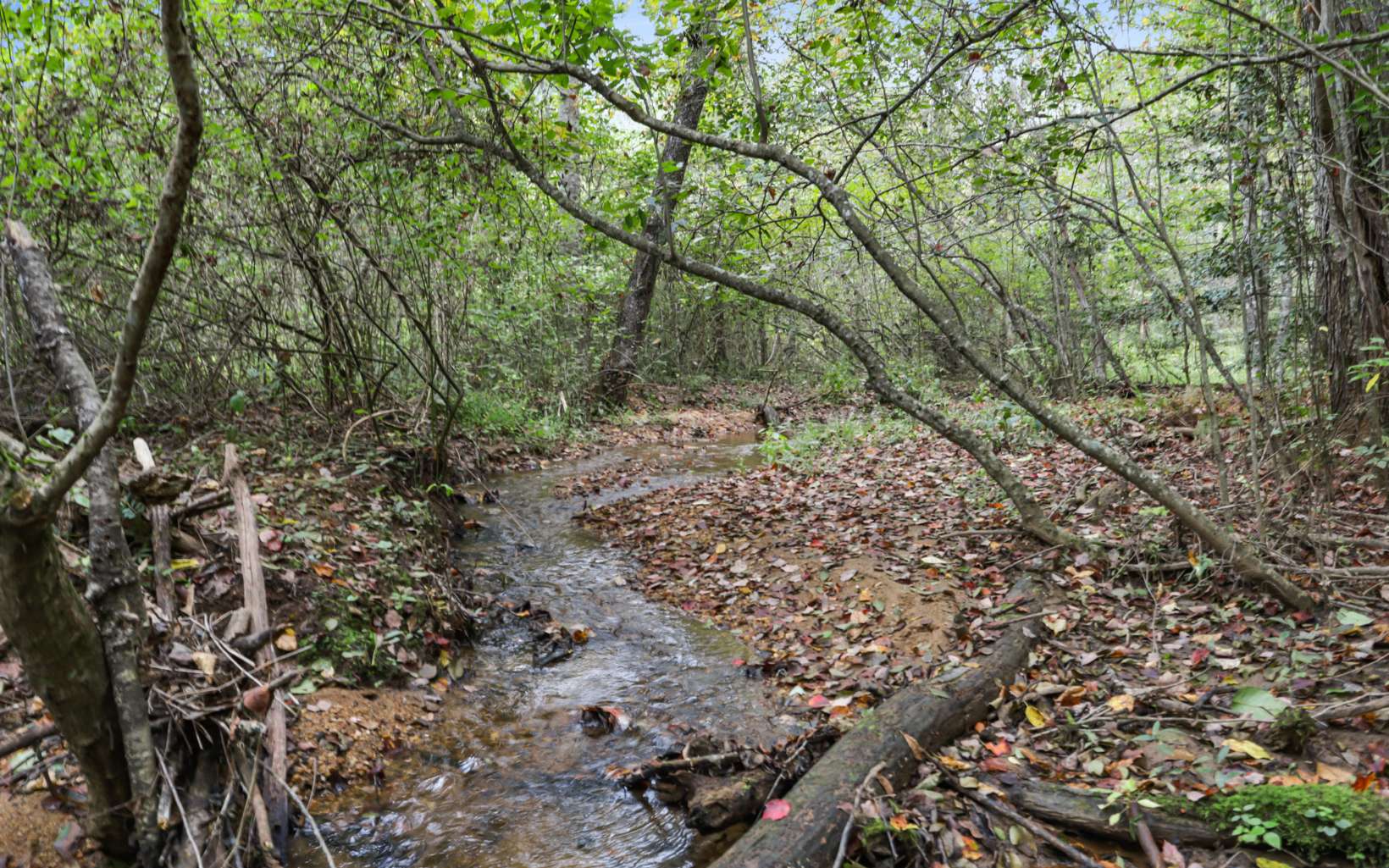 1955 Cavender Gap Road Suches, GA 30572 - Photo 18 of 45 Additional View