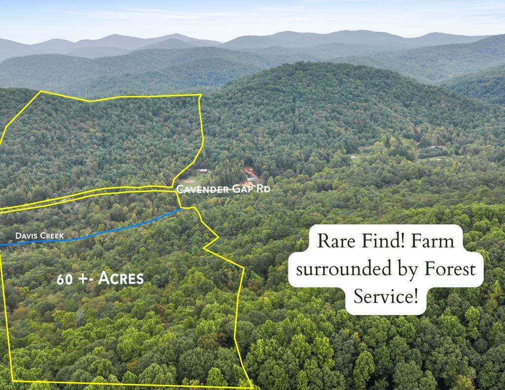 1955 Cavender Gap Road Suches, GA 30572 - Photo 2 of 45 Additional View