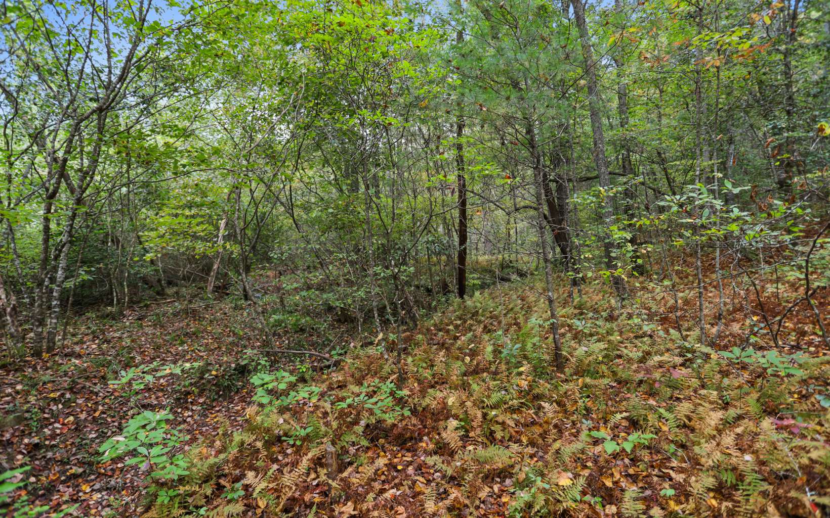 1955 Cavender Gap Road Suches, GA 30572 - Photo 21 of 45 Additional View