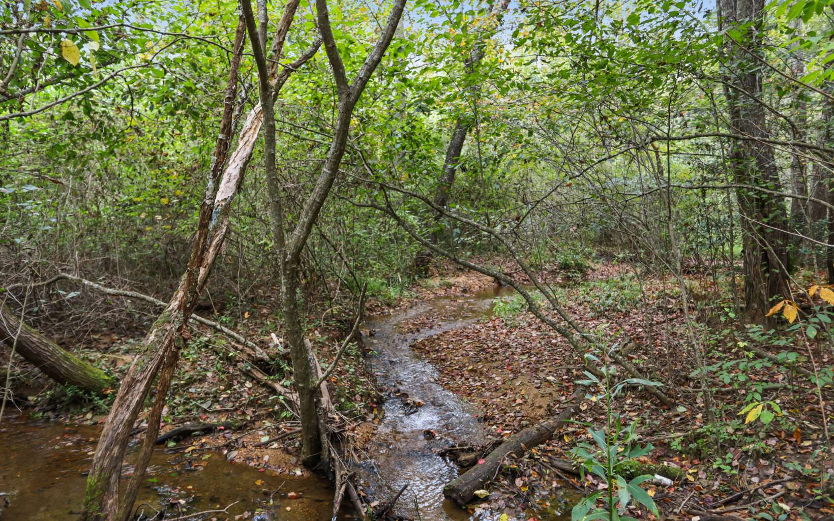 1955 Cavender Gap Road Suches, GA 30572 - Photo 22 of 45 Additional View