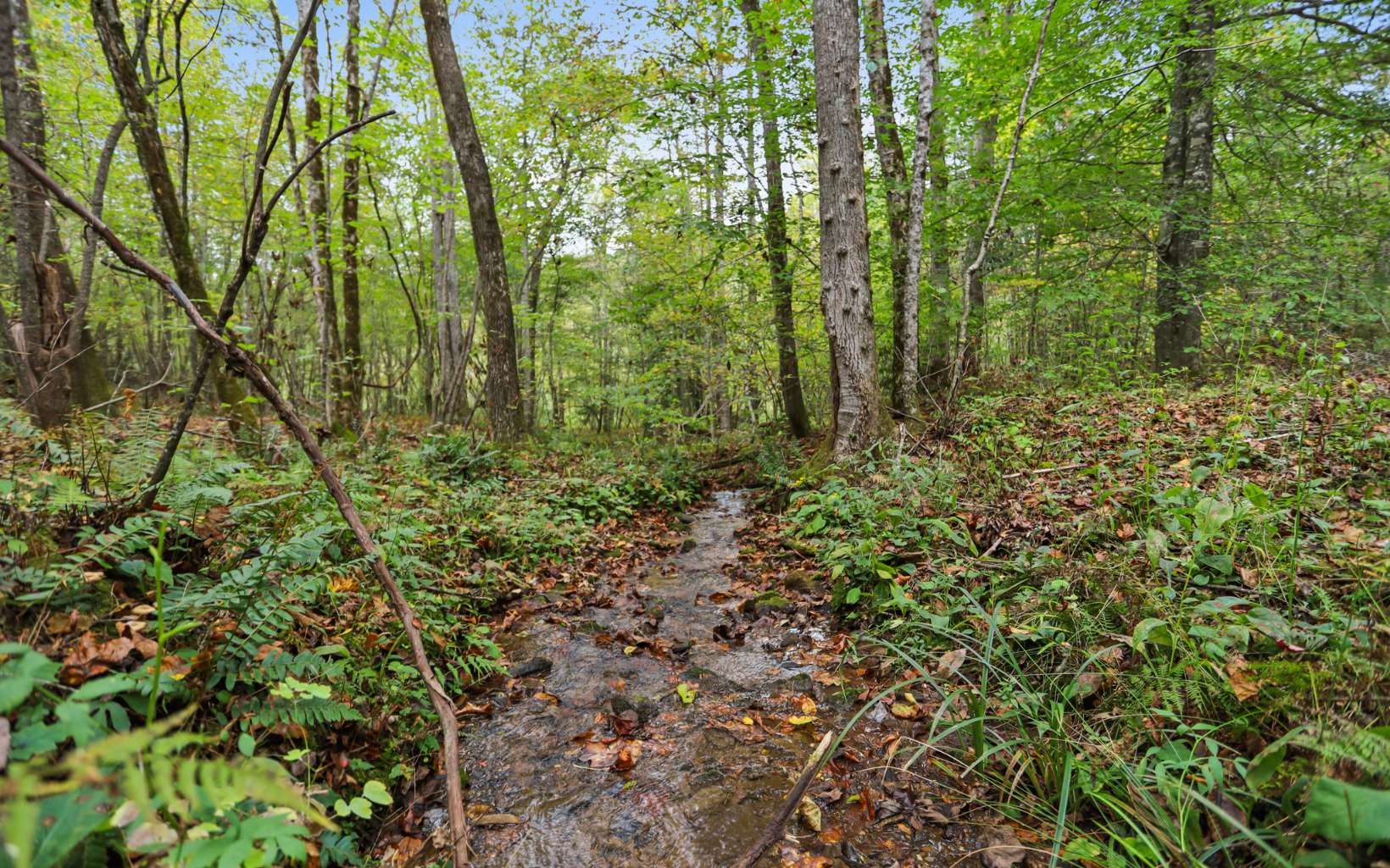 1955 Cavender Gap Road Suches, GA 30572 - Photo 24 of 45 Additional View