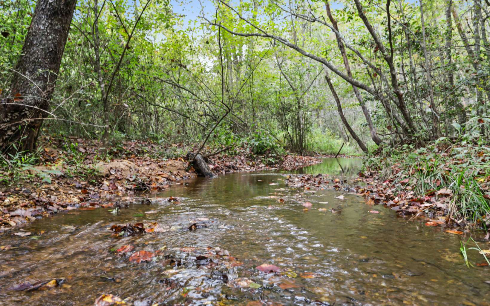 1955 Cavender Gap Road Suches, GA 30572 - Photo 25 of 45 Additional View