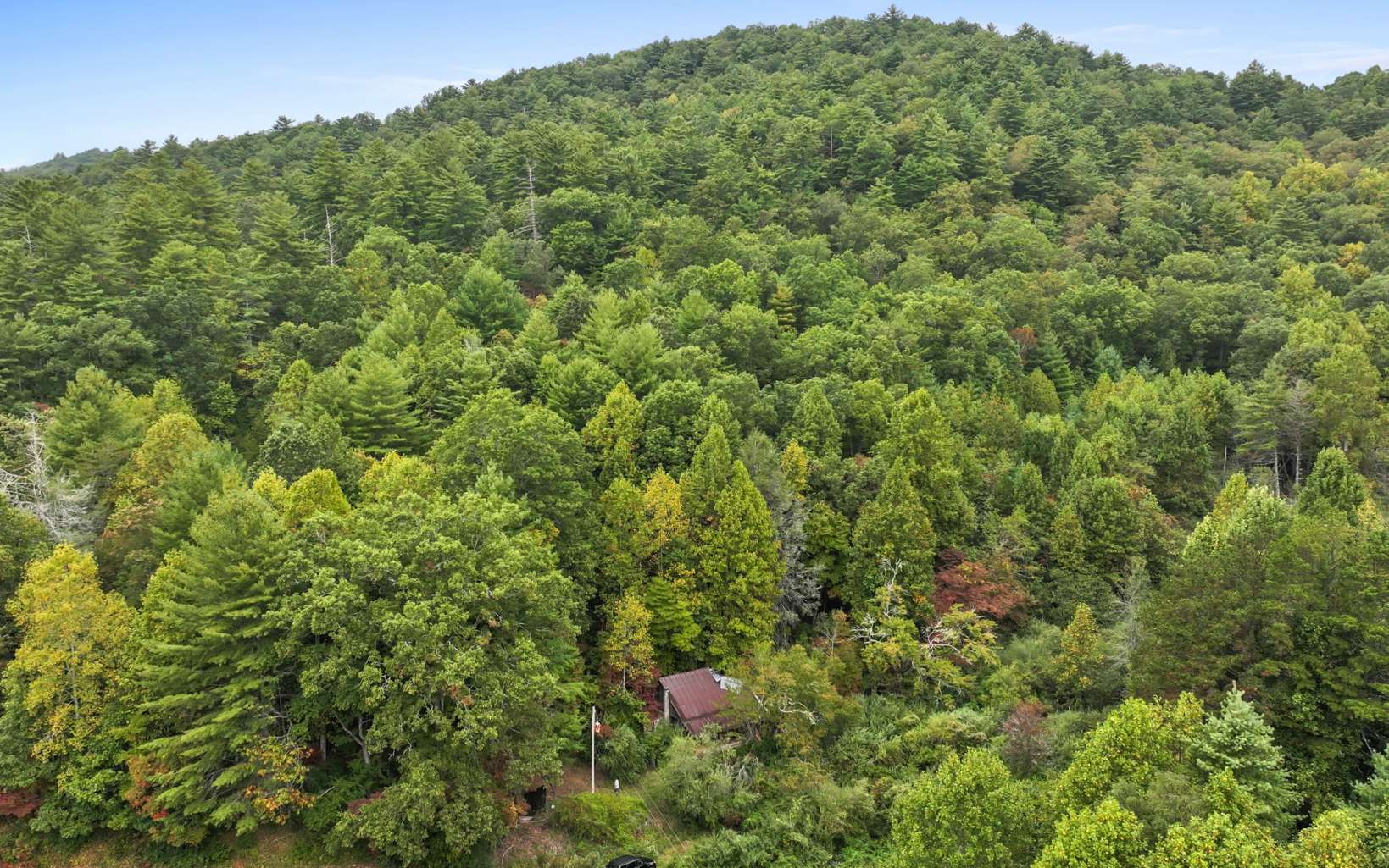 1955 Cavender Gap Road Suches, GA 30572 - Photo 26 of 45 Additional View