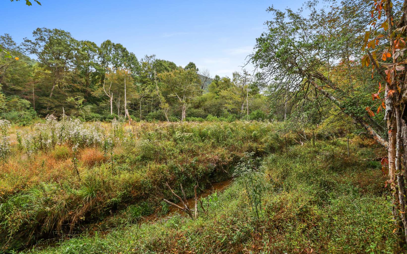 1955 Cavender Gap Road Suches, GA 30572 - Photo 28 of 45 Additional View
