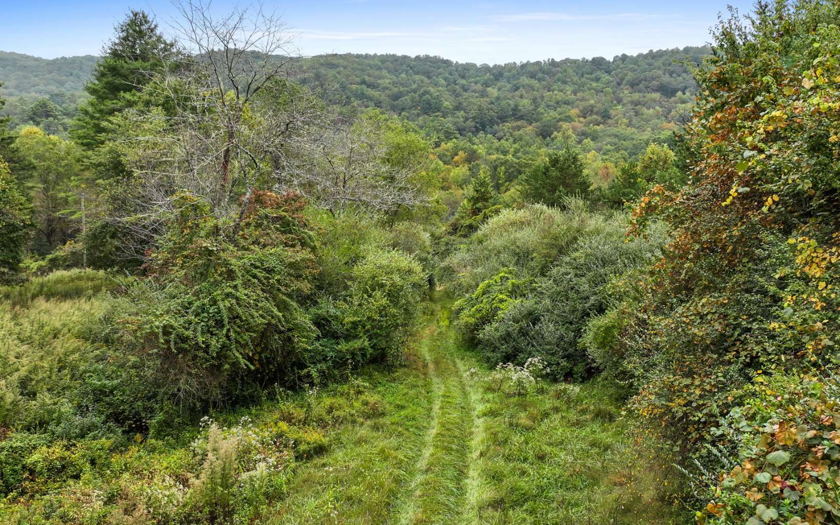 1955 Cavender Gap Road Suches, GA 30572 - Photo 32 of 45 Additional View