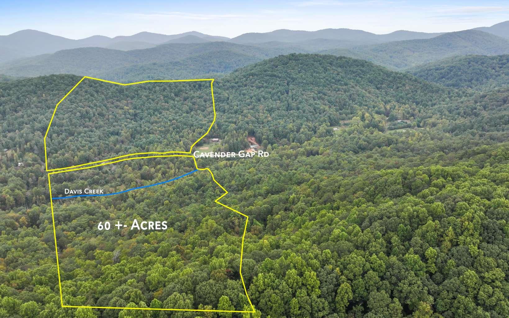 1955 Cavender Gap Road Suches, GA 30572 - Photo 45 of 45 Main View