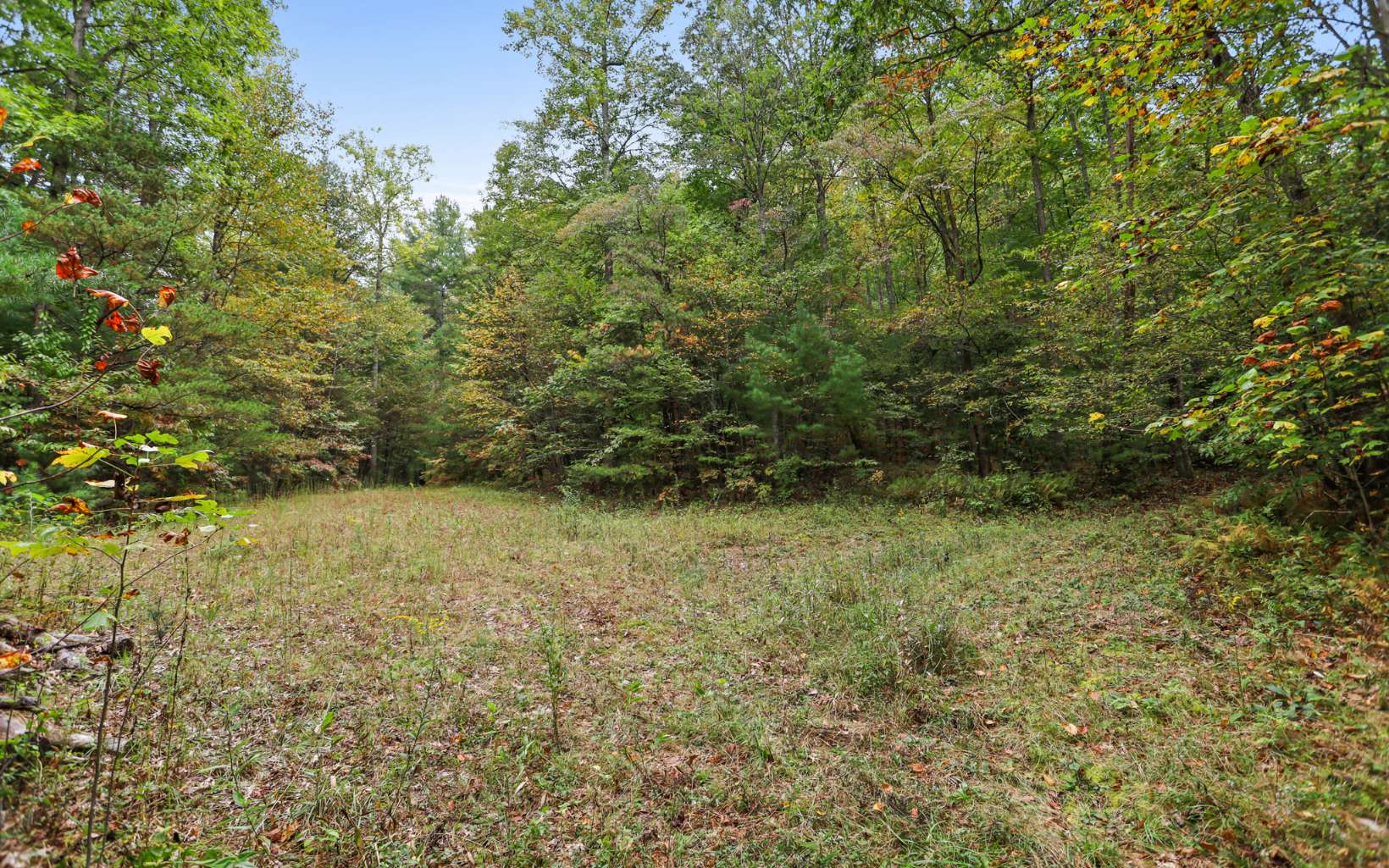 1955 Cavender Gap Road Suches, GA 30572 - Photo 6 of 45 Additional View