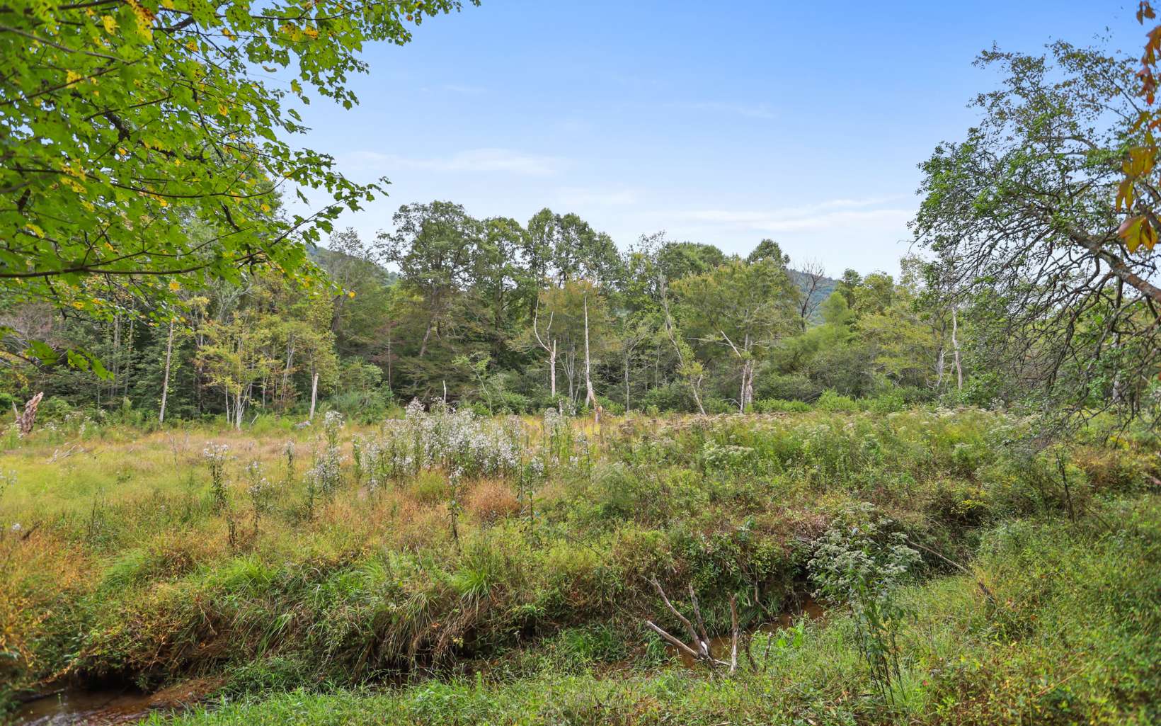 1955 Cavender Gap Road Suches, GA 30572 - Photo 7 of 45 Additional View