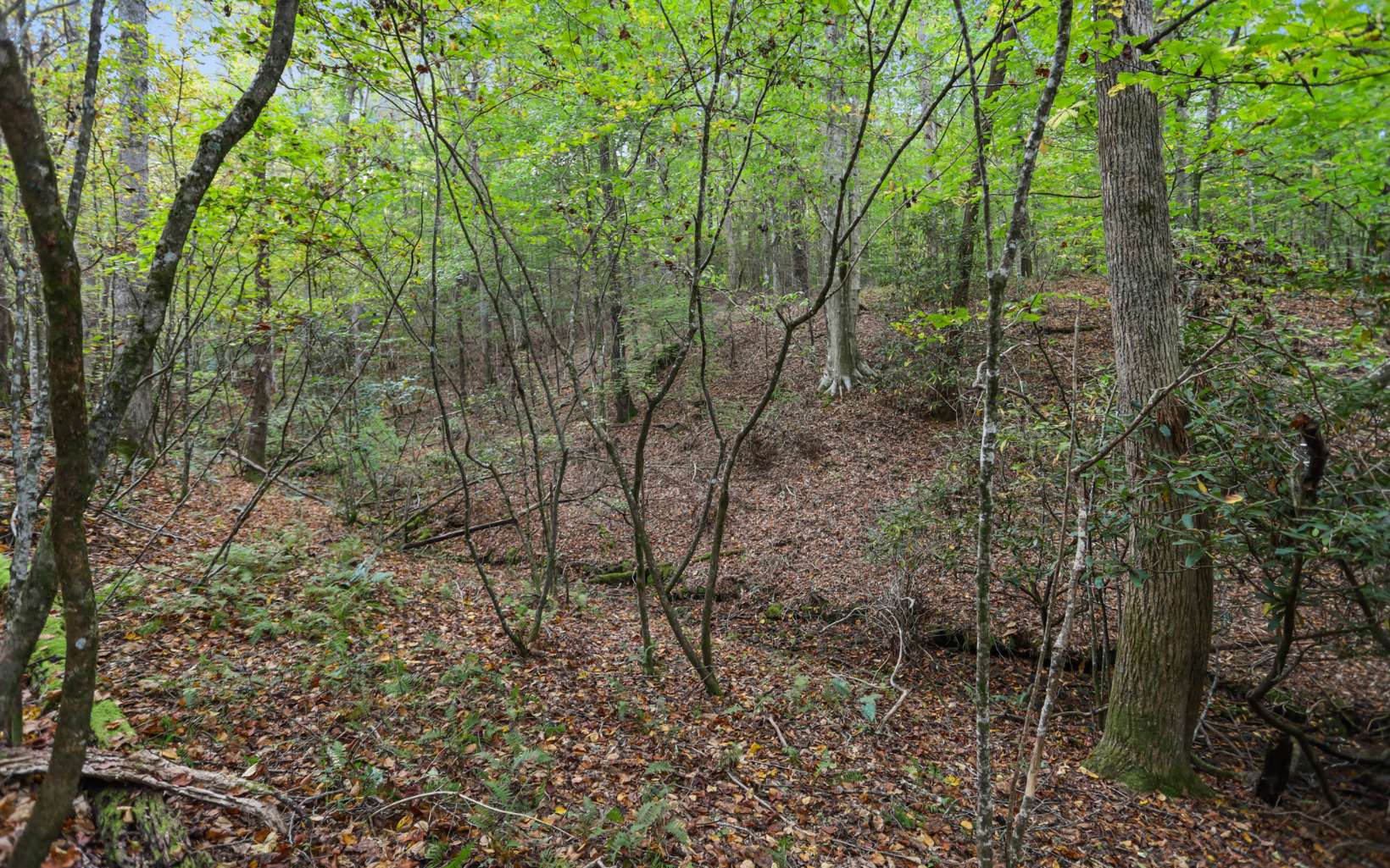 1955 Cavender Gap Road Suches, GA 30572 - Photo 8 of 45 Additional View