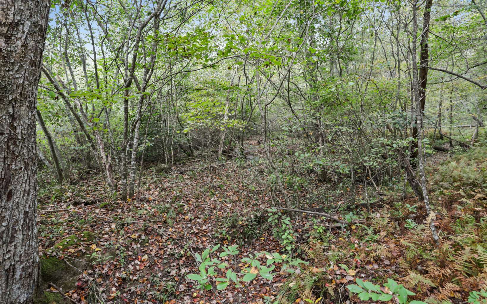 1955 Cavender Gap Road Suches, GA 30572 - Photo 10 of 45 Additional View