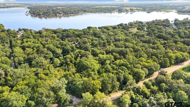 a view of a lake from a yard