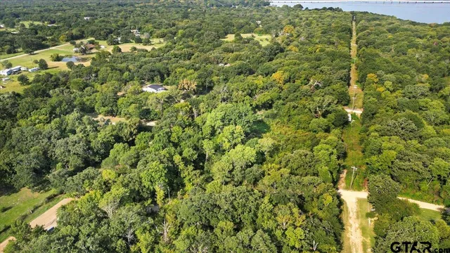 a view of a large yard with plants and large trees