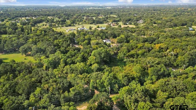 an aerial view of residential houses with outdoor space and trees