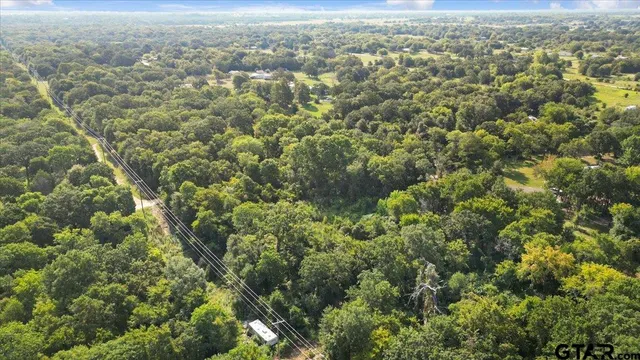 an aerial view of residential houses with outdoor space and trees