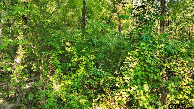 a view of a lush green field
