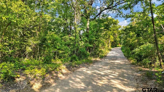 a view of a yard with plants and trees
