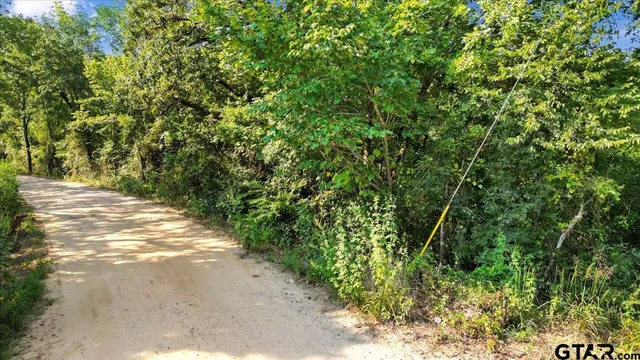 a view of a yard with plants