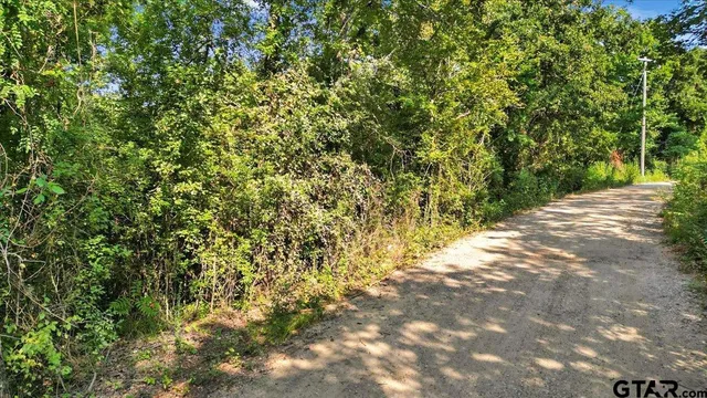 a view of a yard with plants and trees