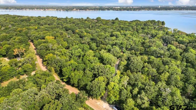 a view of a lake with houses in the background