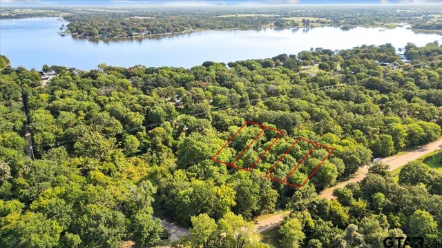 a view of a lake from a yard