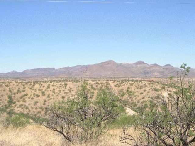 717 Calle Lukas Rio Rico, AZ 85648 - Photo 2 of 2 Gallery Image 2