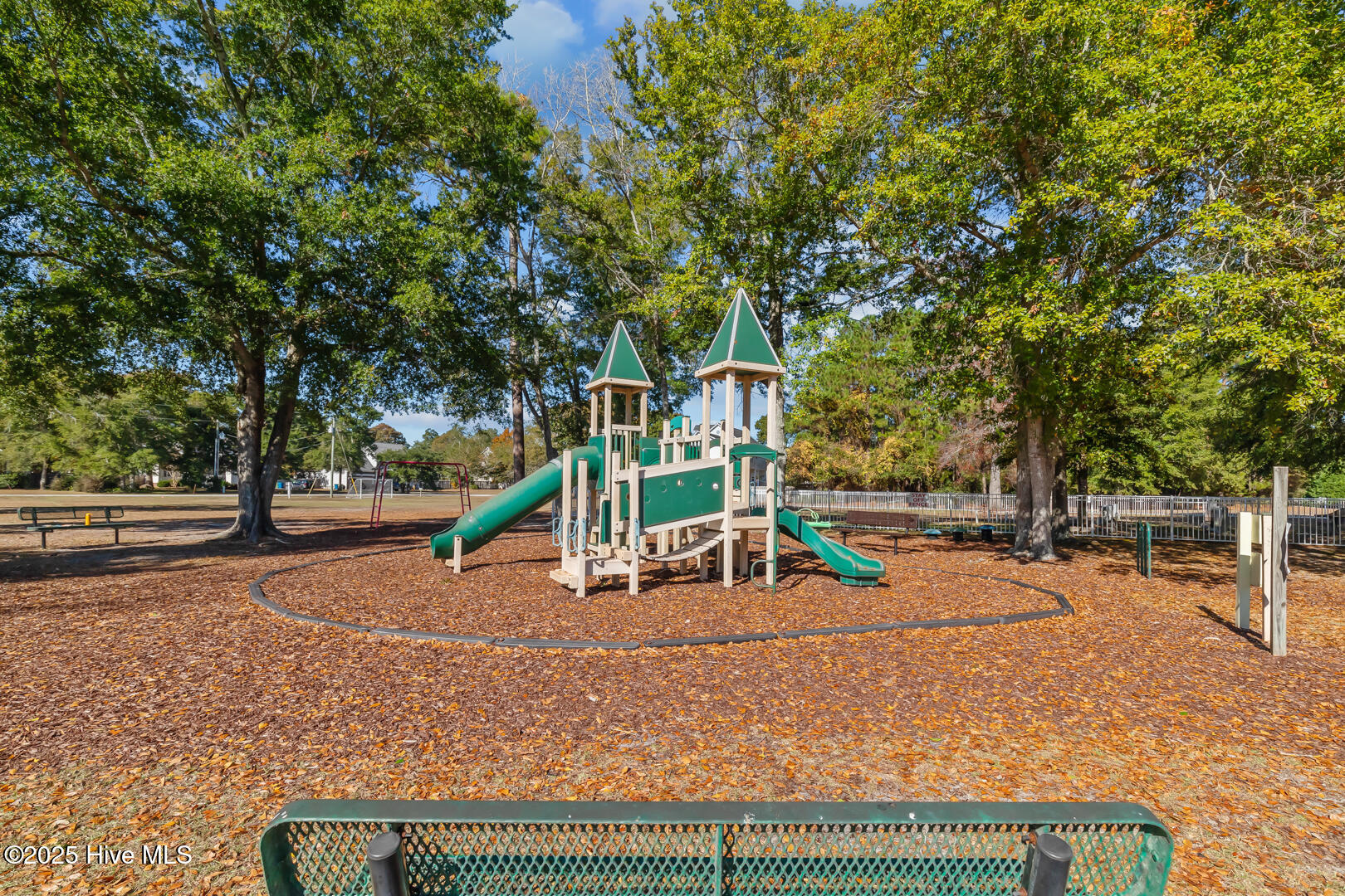 116 Shell Court Sneads Ferry, NC 28460 - Photo 68 of 69 CP15
