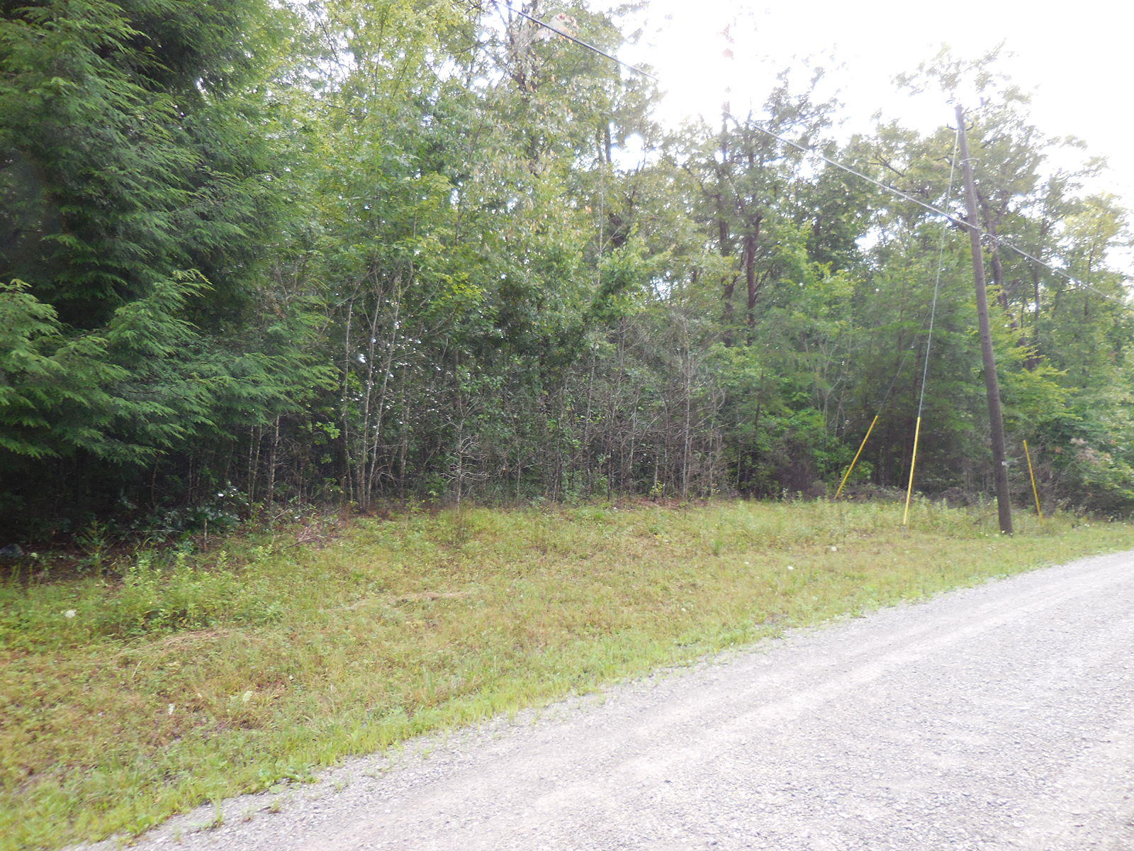 Sam Beaty Road Jamestown, TN 38556 - Photo 1 of 8 210
