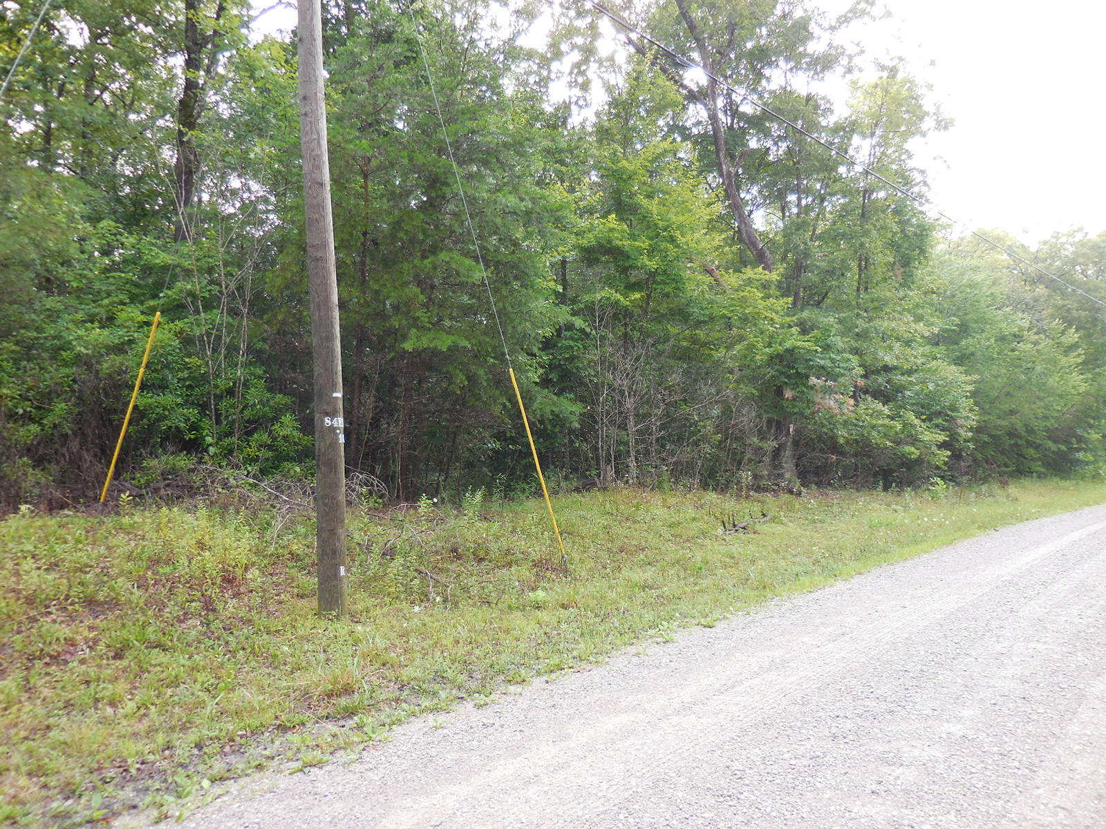 Sam Beaty Road Jamestown, TN 38556 - Photo 2 of 8 211