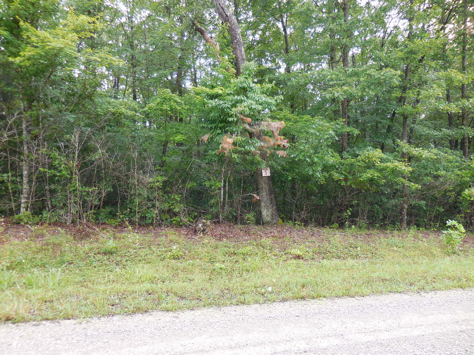 Sam Beaty Road Jamestown, TN 38556 - Photo 3 of 8 212