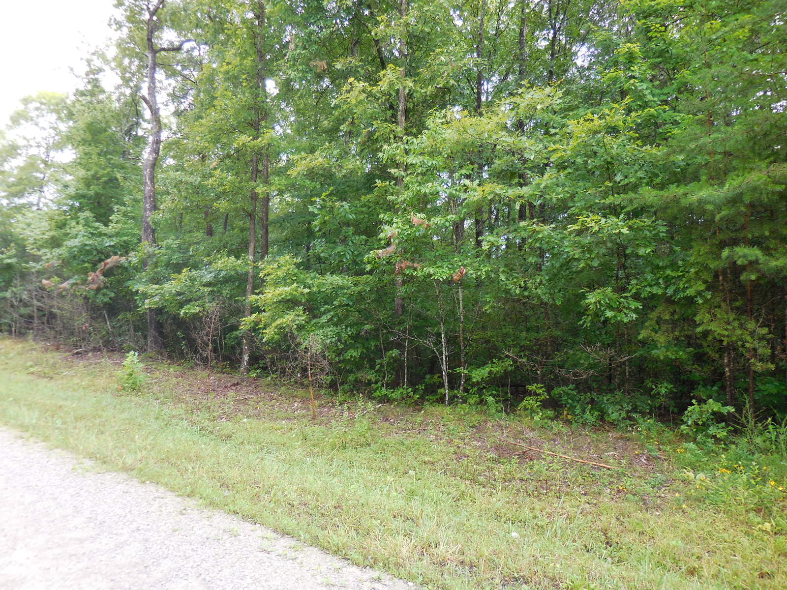 Sam Beaty Road Jamestown, TN 38556 - Photo 4 of 8 213