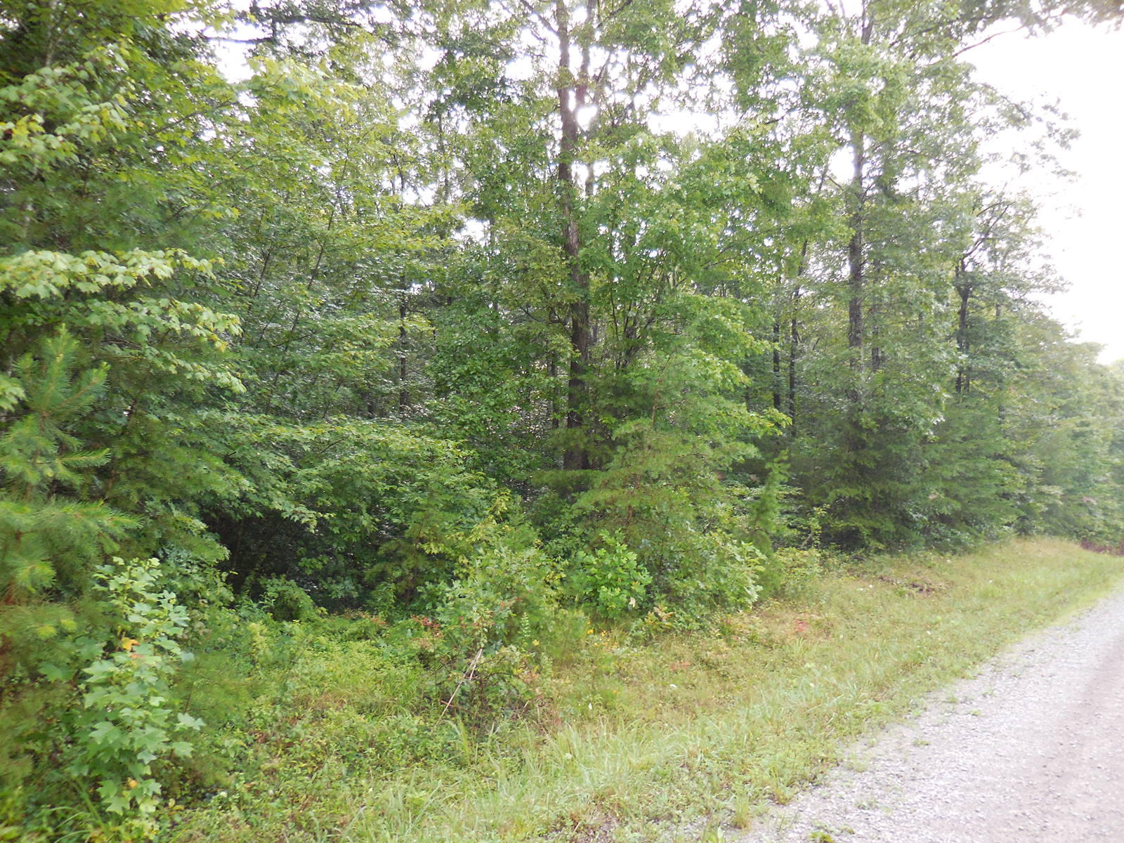 Sam Beaty Road Jamestown, TN 38556 - Photo 6 of 8 215