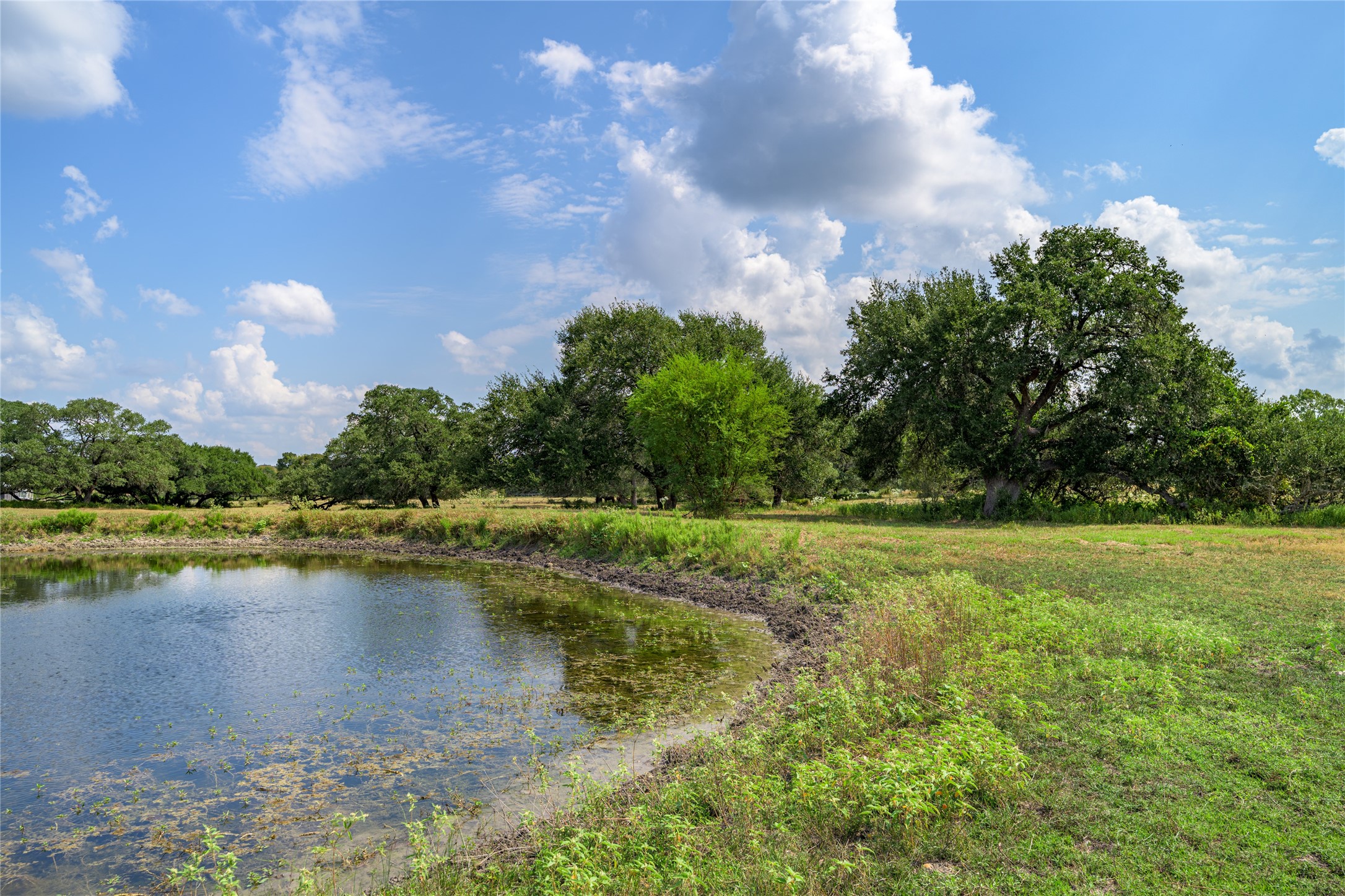 Tbd Roznov Road Fayetteville, TX 78940 - Photo 4 of 8 a view of a lake with houses in the back