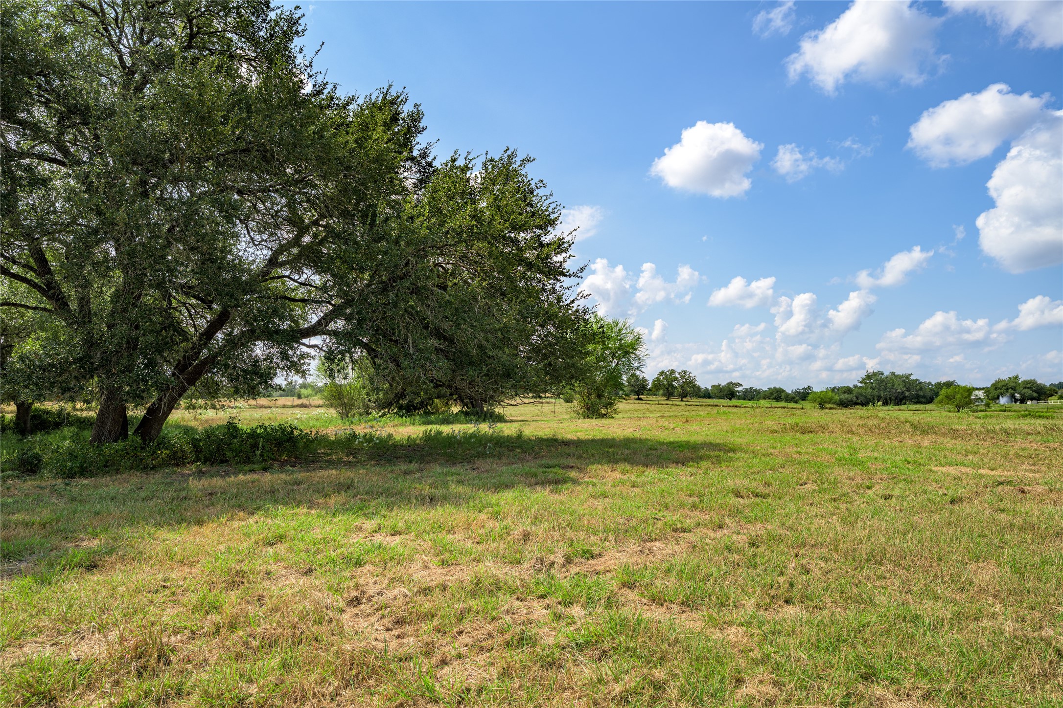 Tbd Roznov Road Fayetteville, TX 78940 - Photo 5 of 8 a view of yard with an outdoor space