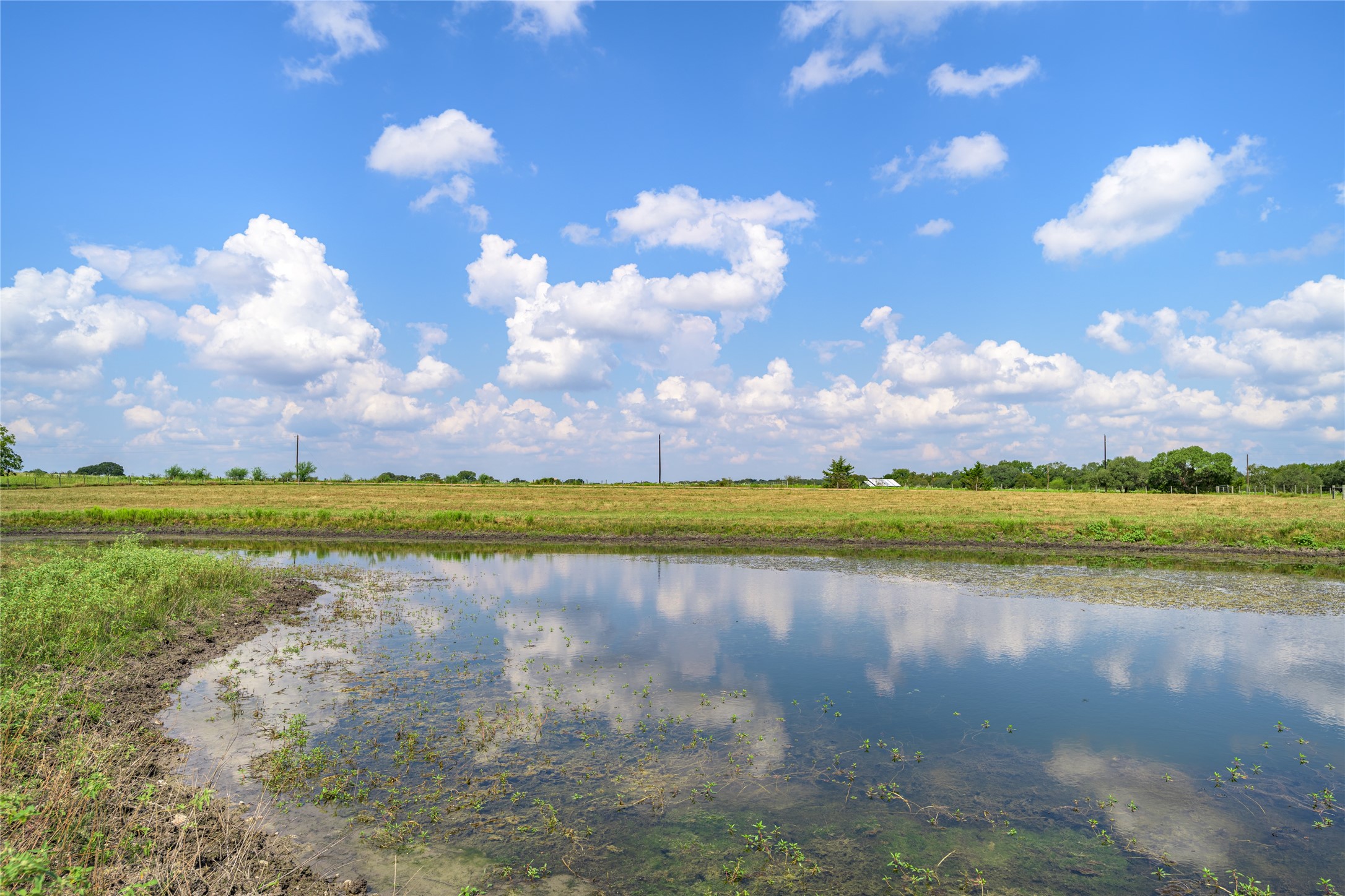 Tbd Roznov Road Fayetteville, TX 78940 - Photo 8 of 8 a view of a lake