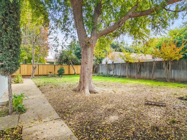 a view of a yard with large tree and wooden fence
