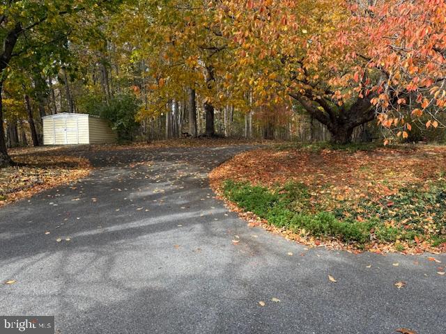 2701 Carrollton Road Finksburg, MD 21048 - Photo 60 of 66 a view of a yard with plants and trees