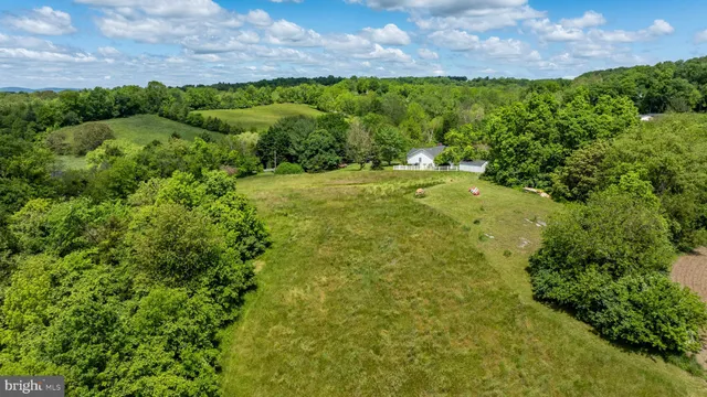 a view of a field with plants and a building in background