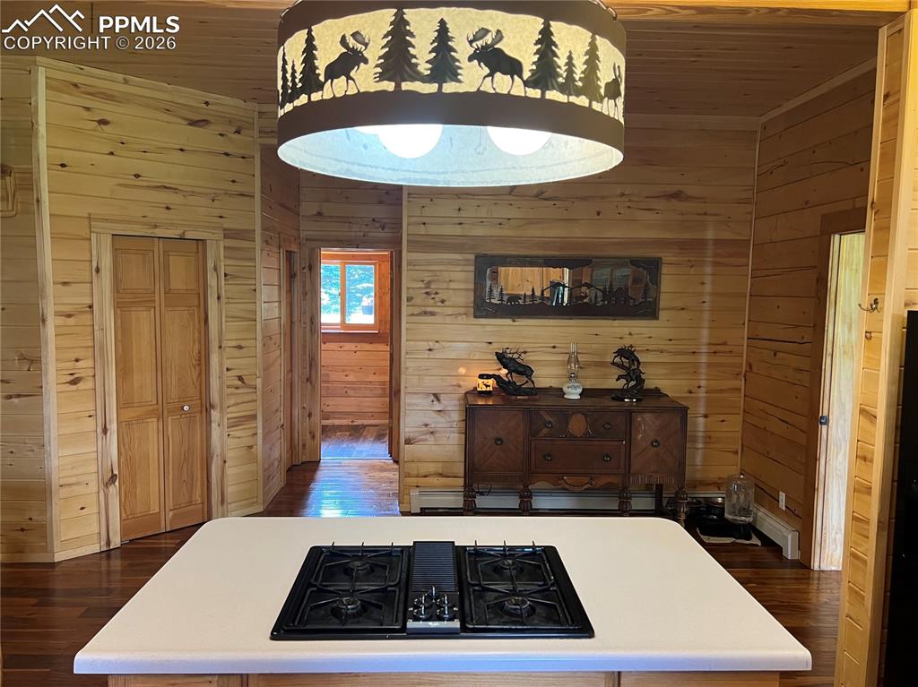 87 Thompson Road Gardner, CO 81040 - Photo 18 of 46 a view of a hallway with wooden floor and a fireplace
