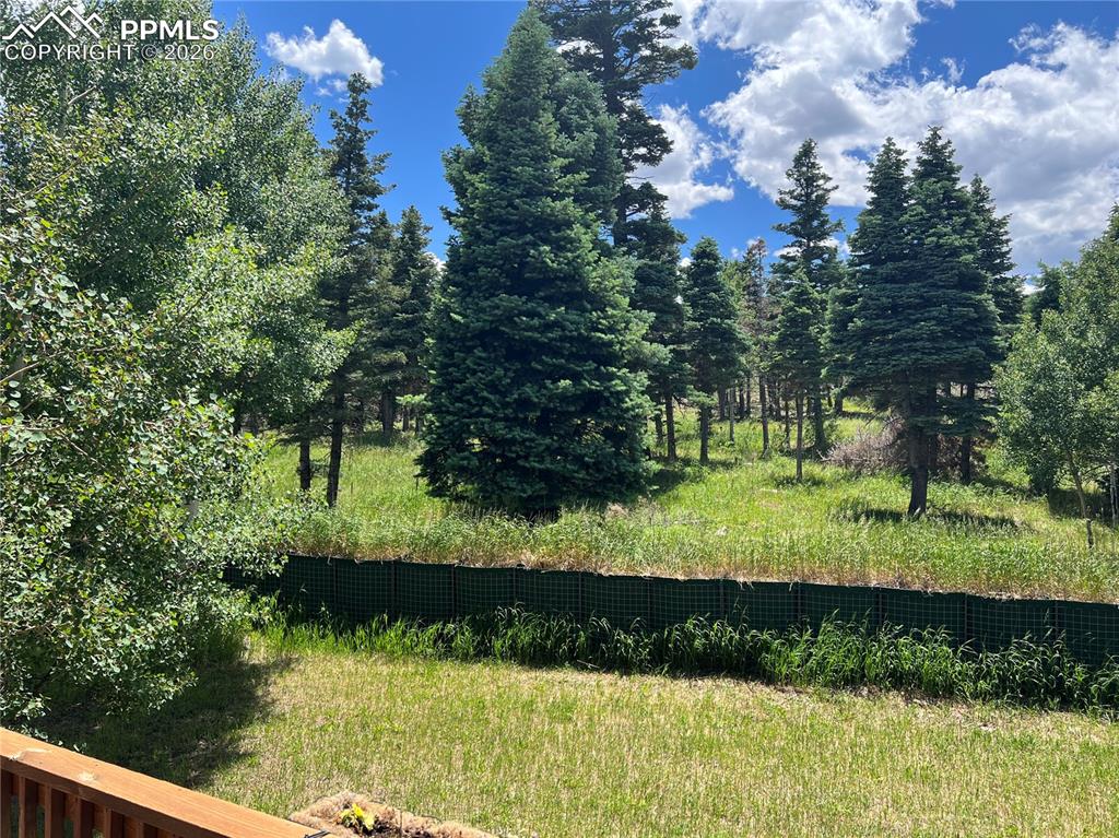 87 Thompson Road Gardner, CO 81040 - Photo 4 of 46 a view of a park with large trees