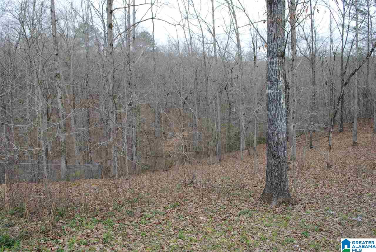 197 Sequoyah Road Pell City, AL 35128 - Photo 9 of 22