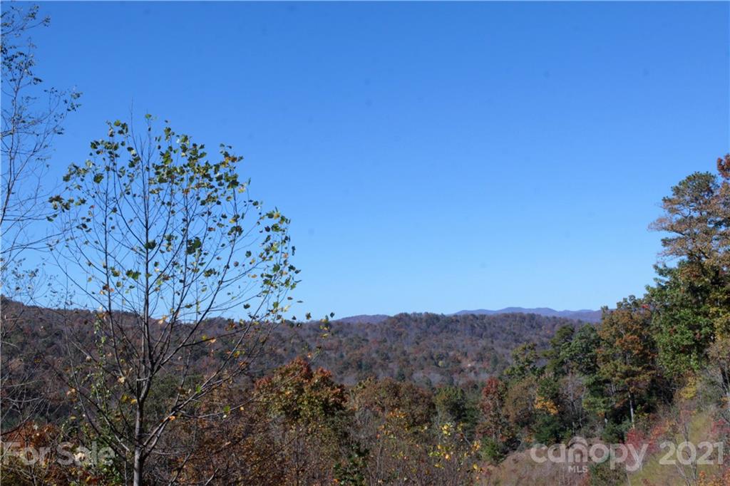7 Kelly Mountain Road, Unit 7 Brevard, NC 28712 - Photo 2 of 23 Gallery Image 2