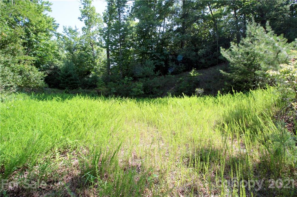 7 Kelly Mountain Road, Unit 7 Brevard, NC 28712 - Photo 12 of 23 Gallery Image 12