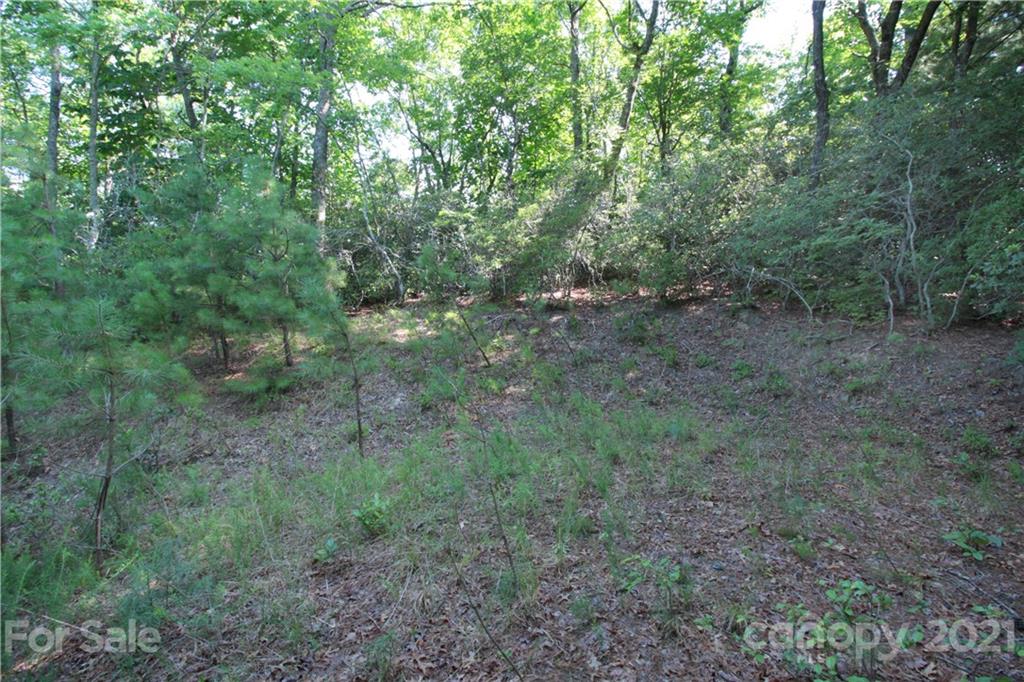 7 Kelly Mountain Road, Unit 7 Brevard, NC 28712 - Photo 13 of 23 Gallery Image 13